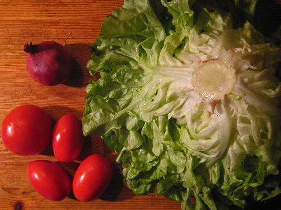 IMG_2479-Salatkopf, Tomaten, rote Zwiebel-560